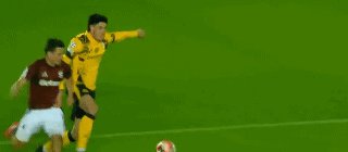 布国35.gif